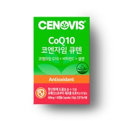 코엔자임 큐텐 60캡슐/60일분