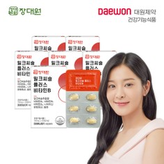 [대원제약]장대원 밀크씨슬 비타민B 6박스/6개월