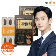 뉴온 보스웰리아 관절력 800mg x 30정 2박스 60일분