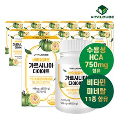 [바이탈큐브] 가르시니아 다이어트 60정x12개12개월