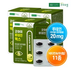 [건국유업] 굿아이 루테인 맥스 30캡슐x3개3개월