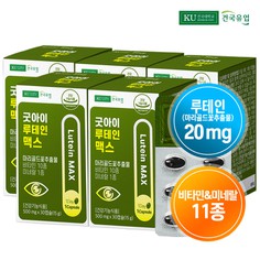 [건국유업] 굿아이 루테인 맥스 30캡슐x5개5개월