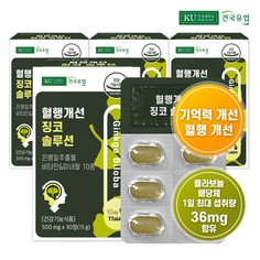 [건국유업] 혈행개선 징코 솔루션 30정x4개4개월