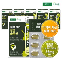 [건국유업] 혈행개선 징코 솔루션 30정x6개6개월