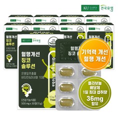 [건국유업] 혈행개선 징코 솔루션 30정x9개9개월