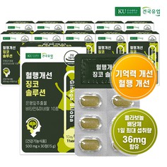 [건국유업] 혈행개선 징코 솔루션 30정x11개11개월