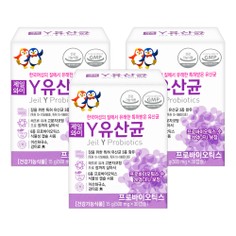 제일 Y유산균 특허 여성 유산균 3박스(3개월분)