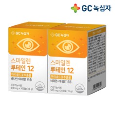 [녹십자] 스마일렌 루테인 12 눈영양제 30캡슐 X2통