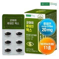 굿아이 루테인 맥스 30캡슐x1개1개월