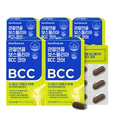 관절연골 보스웰리아 BCC 코어 이미지