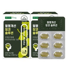 건국유업 혈행개선 징코 솔루션 15g, 30정, 2개