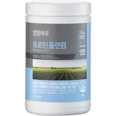 프로틴 플랜B 이미지