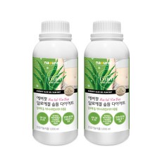 내츄럴플러스 에버핏 알로에겔 슬림 다이어트, 1000ml, 2개