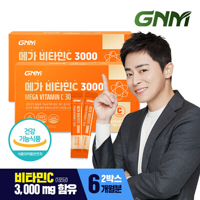 [총 6개월분] GNM 메가 비타민C 3000 90포 X 2박스 / 비타민씨 분말 가루