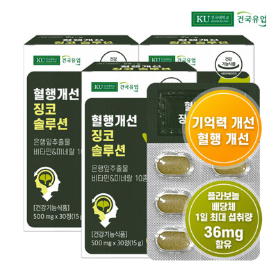 [유통기한2024-06-08][건국유업] 혈행 징코 솔루션 30정x3개(3개월)
