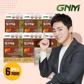 [조정석 밀크씨슬] 건강한 간 밀크씨슬 실리마린 비타민B 6박스(총 6개월분) / 밀크시슬 판토텐산 나이아신 간건강