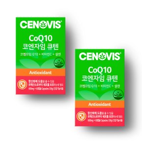 코엔자임 큐텐 (60캡슐, 60일분) 2통