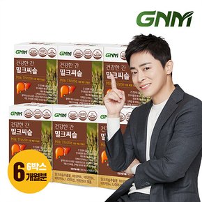 [조정석 밀크씨슬] GNM 건강한 간 밀크씨슬 실리마린 비타민B 6박스(총 6개월분) / 밀크시슬 판토텐산 나이아신 간건강