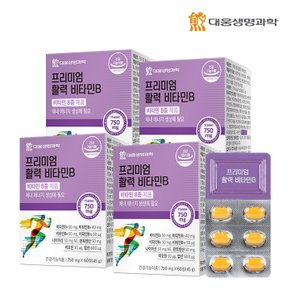 프리미엄 활력 비타민B 60정 4박스(8개월분) / 수용성비타민B 8종 비오틴 엽산 판토텐산 나이아신