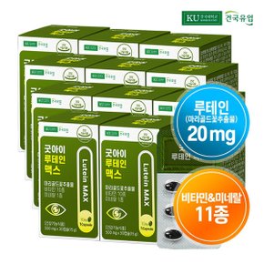 [건국유업] 굿아이 루테인 맥스 30캡슐x11개(11개월)