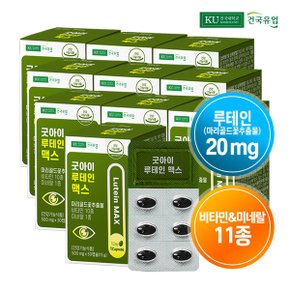 [건국유업] 굿아이 루테인 맥스 30캡슐x10개(10개월)