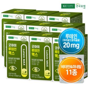 [건국유업] 굿아이 루테인 맥스 30캡슐x9개(9개월)