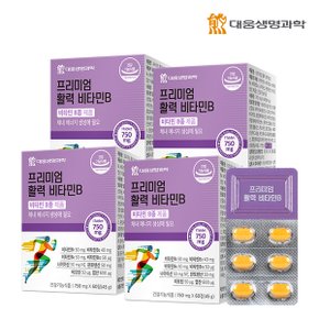 프리미엄 활력 비타민B 60정 4박스(8개월분)