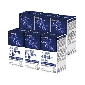 녹십자 스마일렌 관절서포트 MSM 엠에스엠 120정X6통