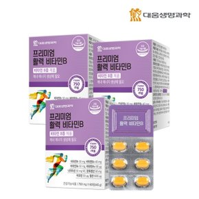 대웅생명과학 프리미엄 활력 비타민B 60정 3박스(6개월분) / 쇼핑백증정